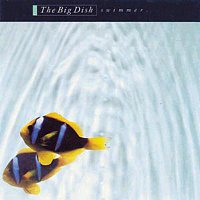 The Big Dish – Swimmer