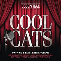 Přední strana obalu CD Essential - Cool Cats