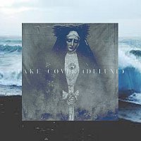 Take Cover [Deluxe Edition]