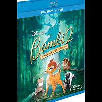 Různí interpreti – Bambi 2. (speciální edice) BD+DVD