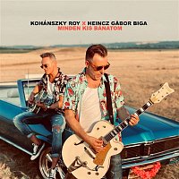Roy Galeri & Heincz Gábor 'Biga' – Minden kis bánatom