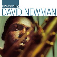 David Newman – Introducing David Newman