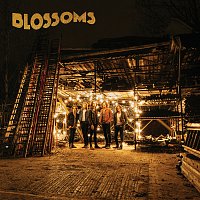 Přední strana obalu CD Blossoms