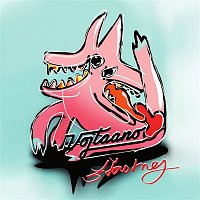 Přední strana obalu CD Šťastnej