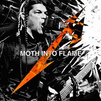 Moth Into Flame [Live]