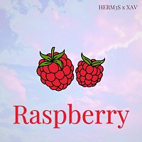 HERM3S, Xav – Raspberry