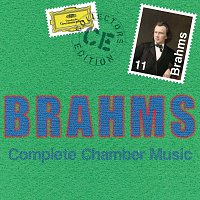 Různí interpreti – Brahms: Complete Chamber Music