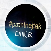 Nik & Jay – Paent Nej Tak [Ollie B Remix]