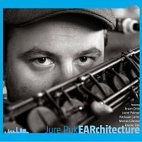 Jure Pukl – Earchitecture