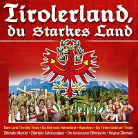 Přední strana obalu CD Tirolerland, du starkes Land