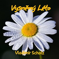 Vladimir Scholz – Vysněný Léto MP3