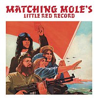 Přední strana obalu CD Little Red Record