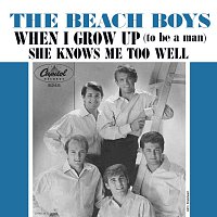 The Beach Boys – When I Grow Up (To Be A Man)