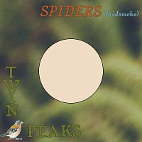 Twin Peaks – Spiders (Kidsmoke)