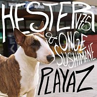 Hester V75, Onge $ushimane – Playaz