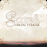 Sarek – Magiska toner