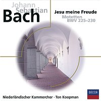 Maarten van der Heyden, Margaret Urquhart, Ageet Zweistra, Jan Kleinbussink – Bach Motetten BWV 225 - 230