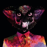 Přední strana obalu CD Mirror