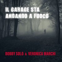 Přední strana obalu CD Il garage sta andando a fuoco