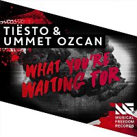 Tiesto & Ummet Ozcan – What You're Waiting For