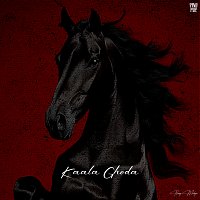 Přední strana obalu CD KAALA GHODA