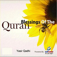 Yasir Qadhi – Blessings of the Qur'an