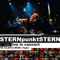 STERNpunktSTERN – live in concert 2012