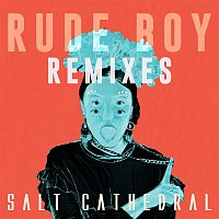 Salt Cathedral – Rude Boy (Remixes)