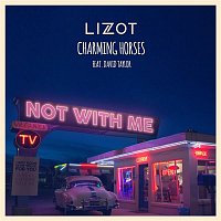 LIZOT & Charming Horses & David Taylor – Not With Me