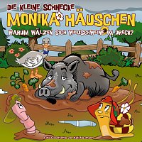 Die kleine Schnecke Monika Hauschen – 66: Warum walzen sich Wildschweine im Dreck?