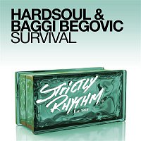 Hardsoul & Baggi Begovic – Survival