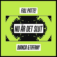 Přední strana obalu CD Nu ar det slut