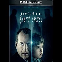 Různí interpreti – Šestý smysl