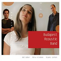 Budapest Acoustic Band – Kapcsolatok