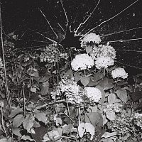 Edwin Rosen – kontrollverlust