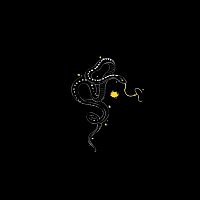 Přední strana obalu CD Had