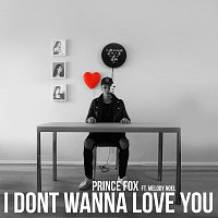 Prince Fox, Melody Noel – I Don't Wanna Love You