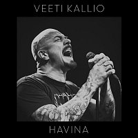 Veeti Kallio – Havina