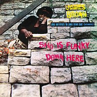 James Brown – Sho Is Funky Down Here
