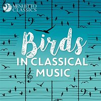 Přední strana obalu CD Birds in Classical Music