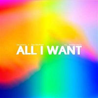 Secondcity x Paul Woolford, Andrea Martin – All I Want