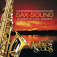Orchester Ambros Seelos – Goodbye My Love, Goodbye