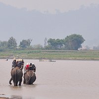 Přední strana obalu CD Feel Sauce