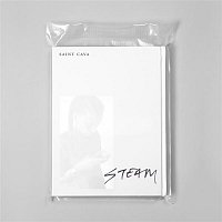 Přední strana obalu CD Steam