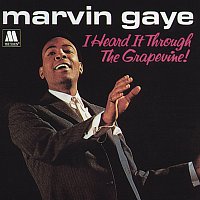 Marvin Gaye – I Heard It Through The Grapevine / In The Groove [Stereo]