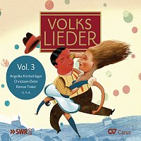 Různí interpreti – Volkslieder Vol. 3 (LIEDERPROJEKT)