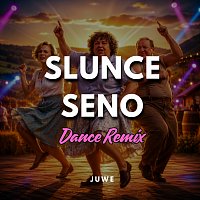 Přední strana obalu CD Slunce Seno (Dance Remix)