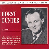 Přední strana obalu CD Dokumente einer Sangerkarriere - Horst Gunther