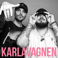 Herbert Munkhammar, Anis Don Demina – Karlavagnen