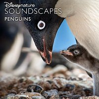 Disneynature Soundscapes – Disneynature Soundscapes: Penguins
